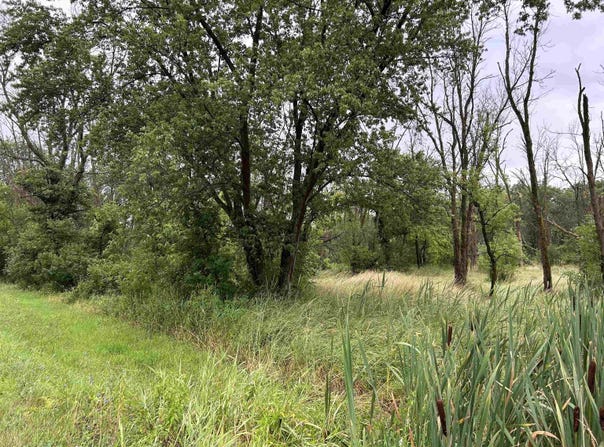 Beaver Road, FREEPORT, IL 61032