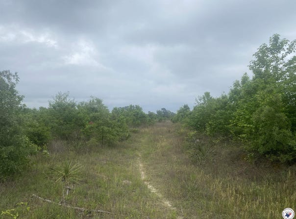 CR 3217, Atlanta, TX 75551