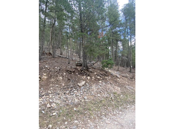 5 Forest View Rd, Cloudcroft, NM 88317