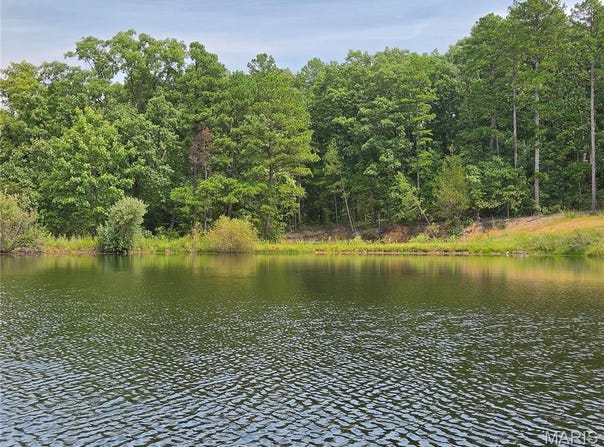 Ridgely Road, Cadet, MO 63630