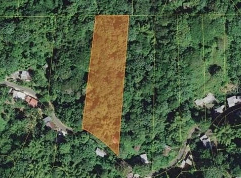 Pr-354 Km 6.4 MARINI COMMUNITY - QUEMADO WARD, MAYAGUEZ, 00680