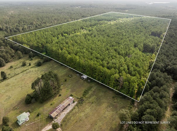 80+/-AC Arthur Lowe Rd, Lumberton, MS 39455