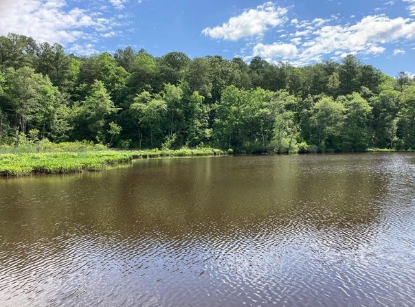 Rockfish Road, HEATHSVILLE, VA 22473
