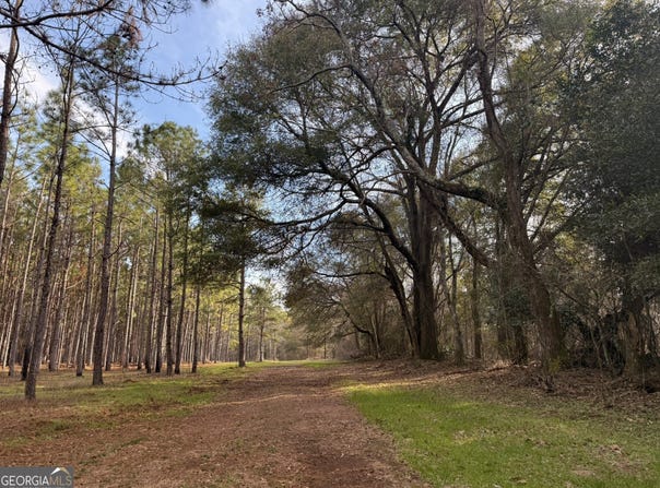 014 Hwy 45, Plains, GA 31780