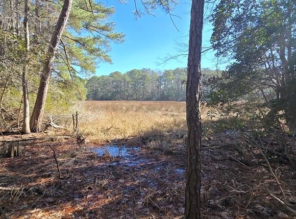 LUCAS TR lot: 16, MACHIPONGO, VA 23405