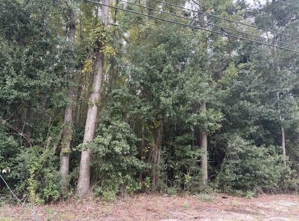 W Huggins Street, Manning, SC 29102