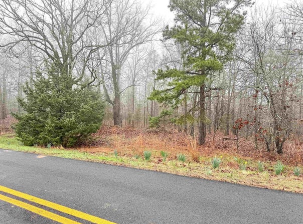 37 High Point Drive, Mayflower, AR 72106