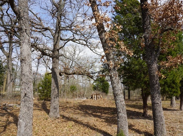 1698 Doc Holiday Dr, Log Cabin, TX 75148