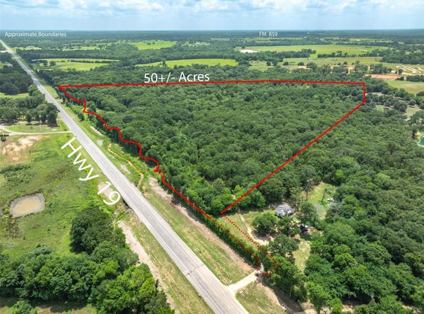 Tx-19, Edgewood, TX 75117