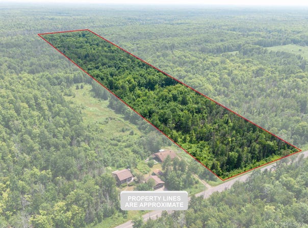 20 Acres TBD DUKES Road, Skandia, MI 49885