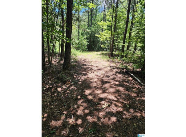 7218 COUNTY ROAD 26 lot: 10, WADLEY, AL 36276