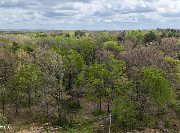 Mississippi 7, Holly Springs, MS 38635