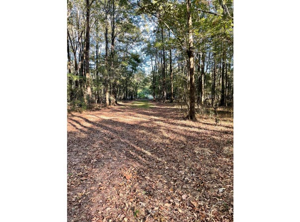 No E Lake Drive, Clinton, MS 39056