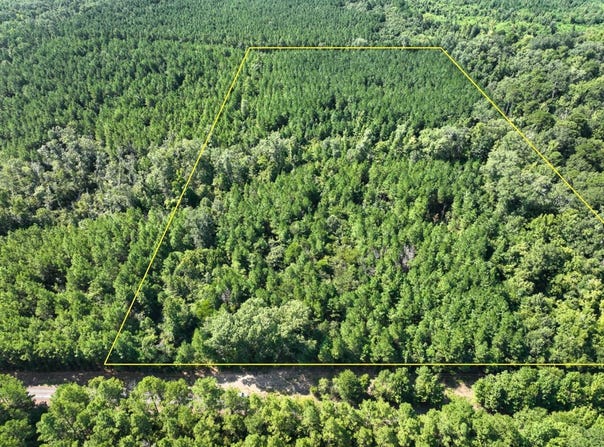 Sam Booker Road, Mansfield, LA 71052