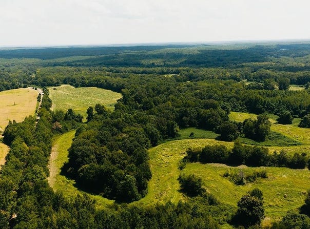 ROCKY SPRINGS Rd, Saulsbury, TN 38067