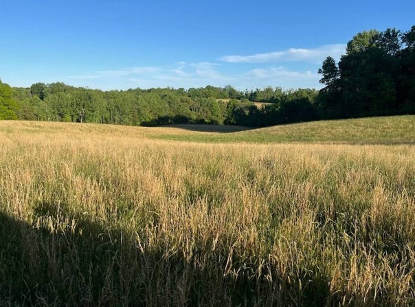 Long Hollow Acres lot: 11-14, Burkesville, KY 42717