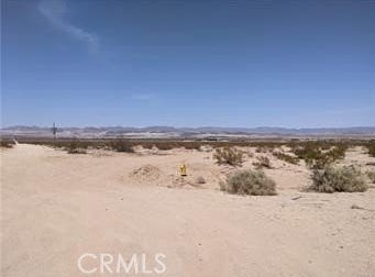 None, 29 Palms, CA 92277