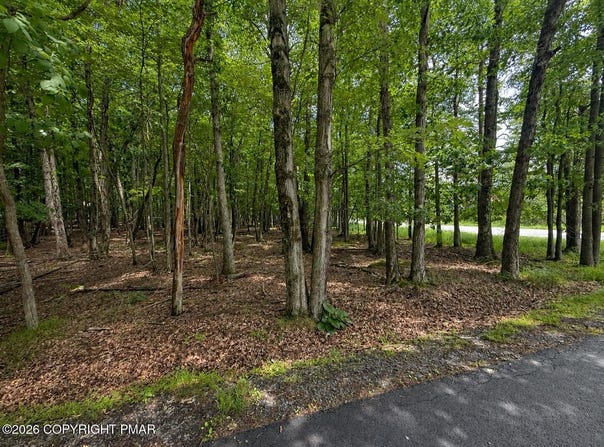 Tower Rd Lot 401, Albrightsville, PA 18210