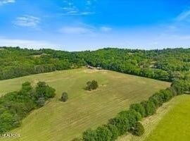 21+/- Acre County Road 675, Riceville, TN 37370