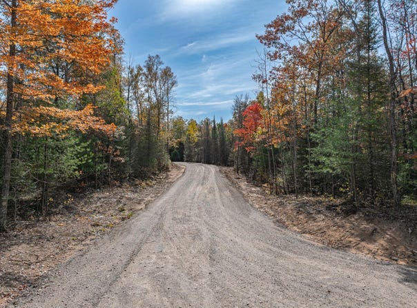 BUTTERNUT CIR lot: 12, Eagle River, WI 54521