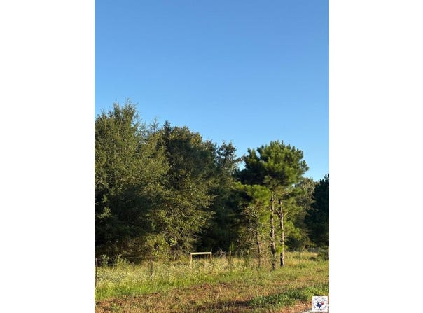 TRACT 8 HWY 990, Simms, TX 75574