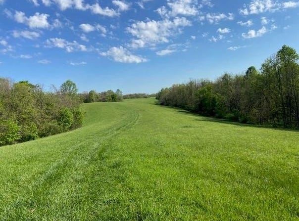2451 Sardis Rd., Mount Olivet, KY 41064