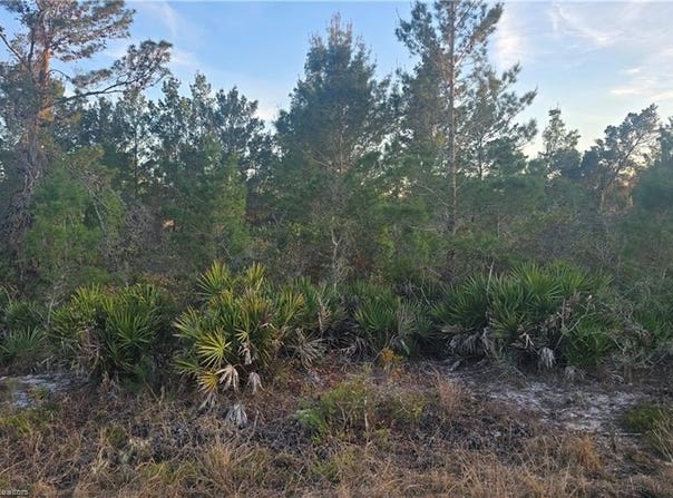 455 Darter Avenue, Sebring, FL 33870
