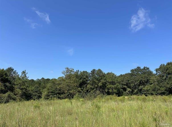 4949 Dobson Rd, Jay, FL 32565