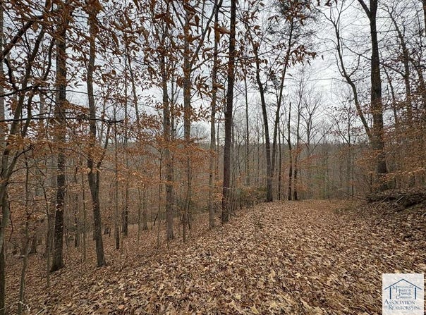 Pine Valley Dr, Bassett, VA 24055