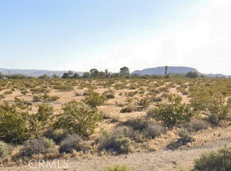 Telstar Court, Yermo, CA 92398