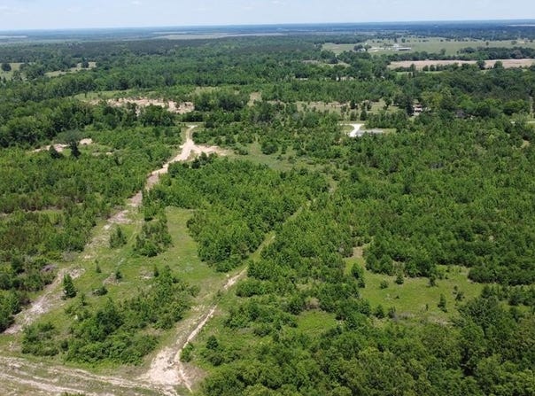Tract 2 FM 114, DeKalb, TX 75559