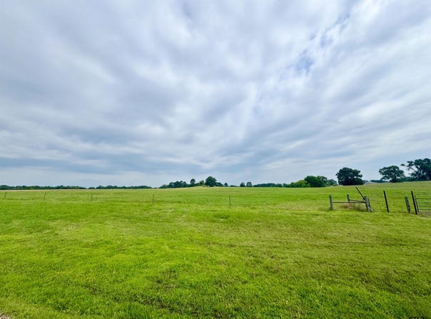 CR 2320 lot: 62, Pittsburg, TX 75686