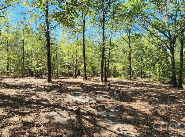 1050 Mcqueen Road, Patrick, SC 29584