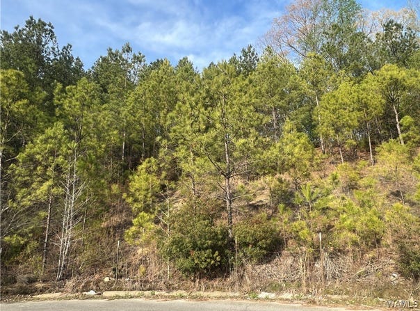 Stone Ridge Pkwy, Brookwood, AL 35444