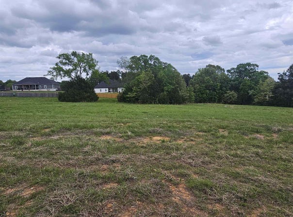 20 Bella View Drive, Greenbrier, AR 72058