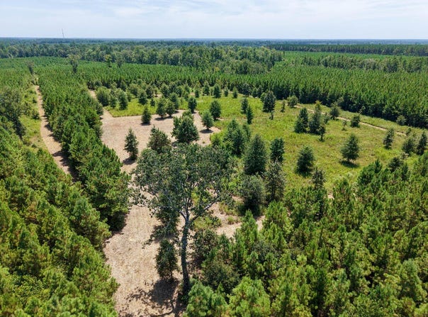 PID 150414 CC Road, Diboll, TX 75941