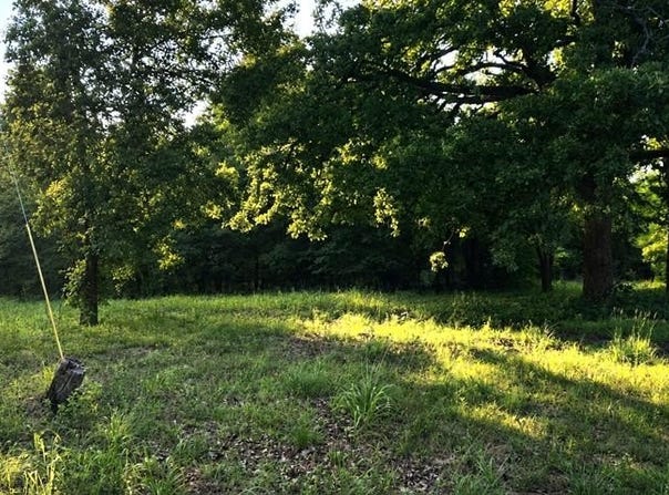 14598 CR 1122, Athens, TX 75751