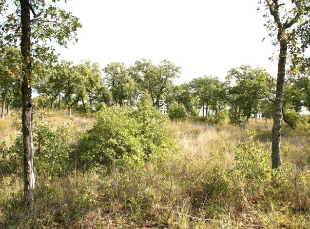 D69 Hensley Road, Gordon, TX 76453