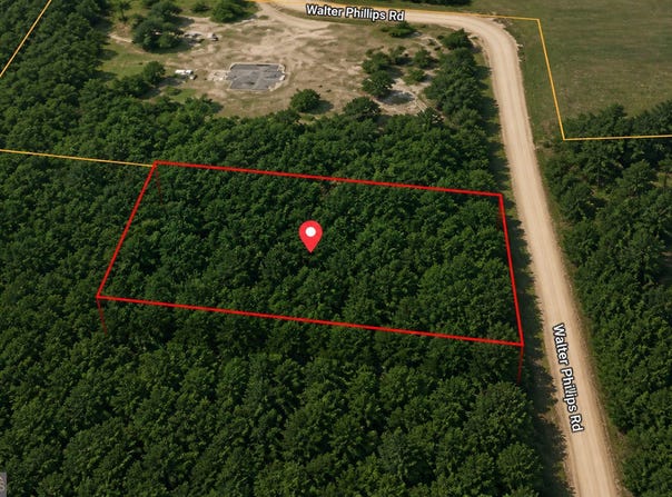 1 ACRE Walter Phillips Road, Hazlehurst, GA 31539
