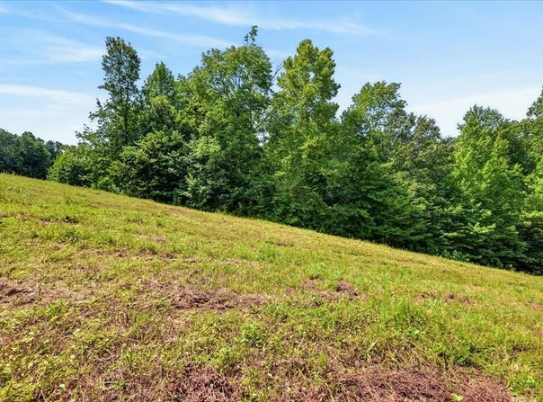 Trt#10 Johnnie Rd, INDIAN MOUND, TN 37079