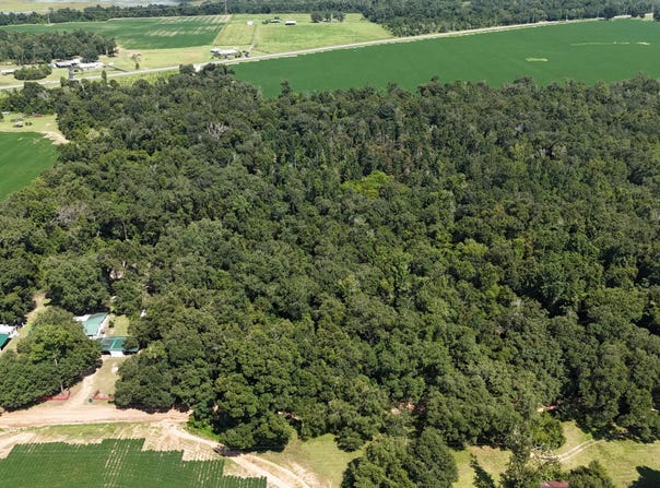 Conner Road, Grand Ridge, FL 32442