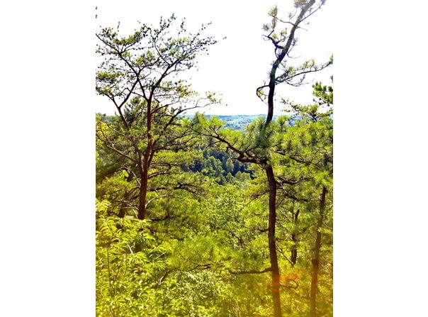 S Fork Road, Stanton, KY 40380