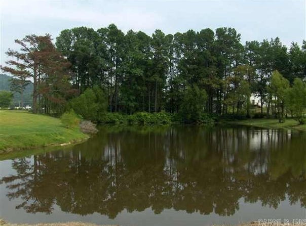 166 Thornton Ferry Road, Hot Springs, AR 71913