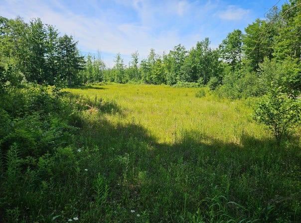 579 Maple Ridge Road, Harrison, ME 04040