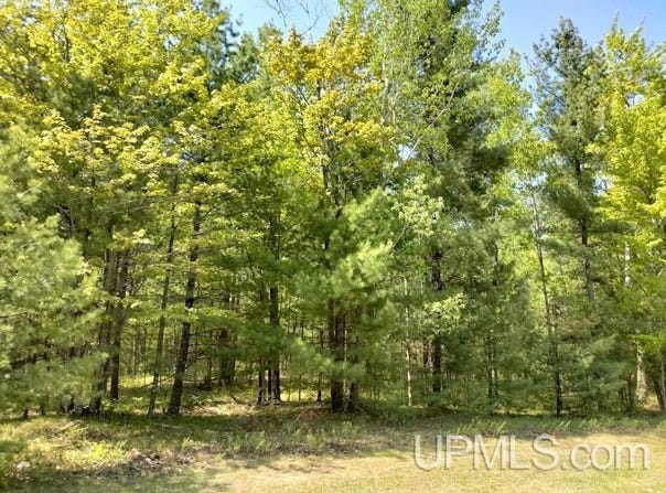 10431 Breezy R.22 Lane, Rapid River, MI 49878