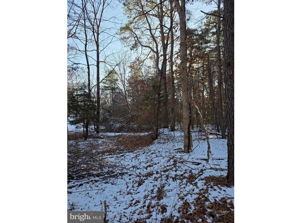 PAYSON, CHESILHURST, NJ 08089