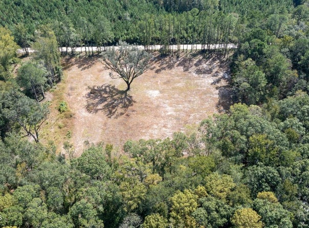 2374 Colesburg Tompkins Road, Woodbine, GA 31569
