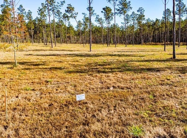 20 Big Buck Drive, Moscow, TX 75960
