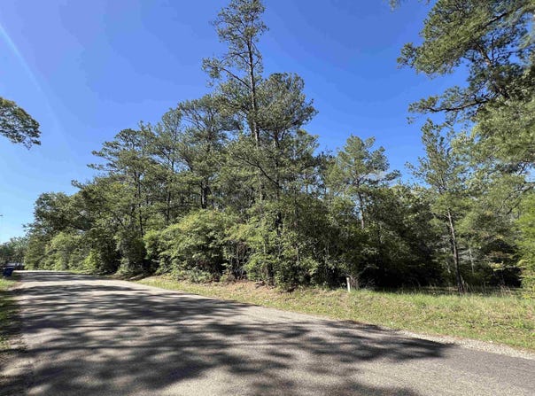 370 CR 222, Brookeland, TX 75931