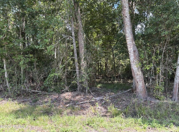 Plantation lot: 61, Abbeville, LA 70510